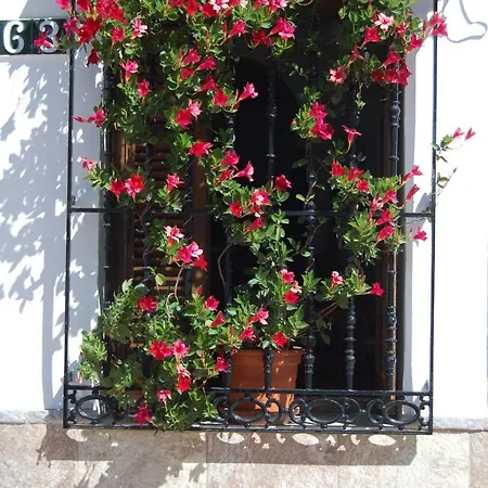 Lägenhet La Botica De Nerja